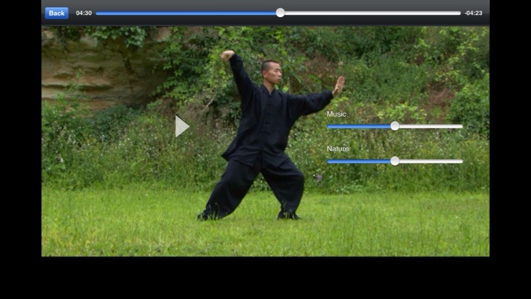 Tai Chi Yang