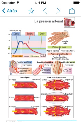 Miniatlas Hypertension screenshot 3