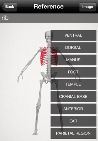 basic anatomy for all [bones] screenshot 3