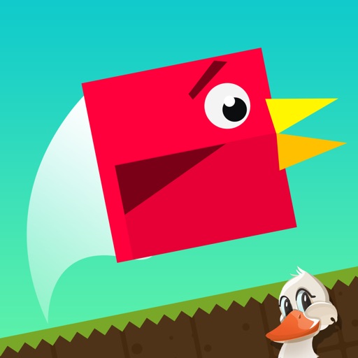 Tiny Jumpy Bird – Ultimate Flying Madness for Money icon