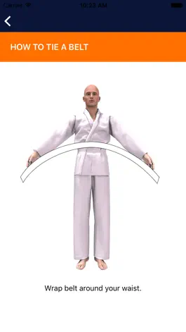 Game screenshot iKarate-Do Free apk