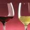 Along with Tuscany, Piedmont is a region in Italy, which can boast the widest range of fine wines produced, heirs of a thousand-year tradition, that endow Italian wine-growing sector with grandeur