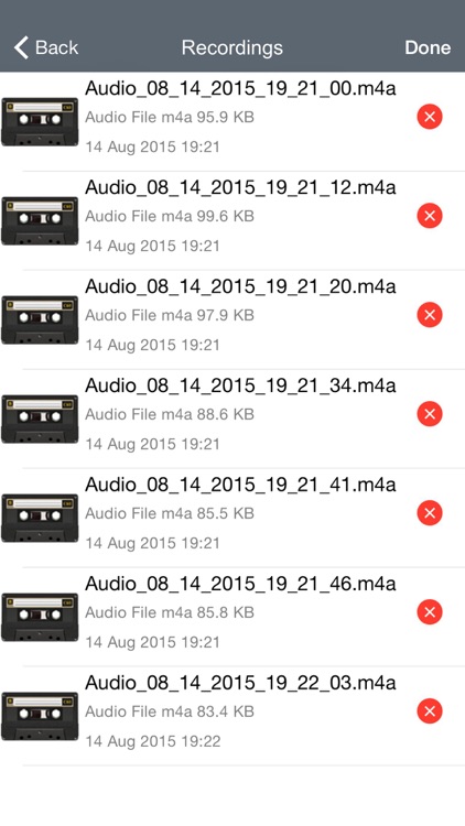 Voice Manager Pro: Professional Audio Recording & Sharing screenshot-3