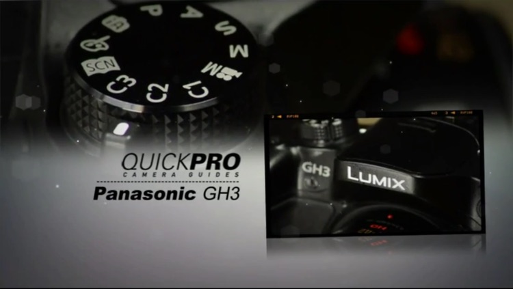 Panasonic Lumix GH3 from QuickPro HD