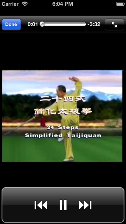 Taiji Kungfu screenshot-3