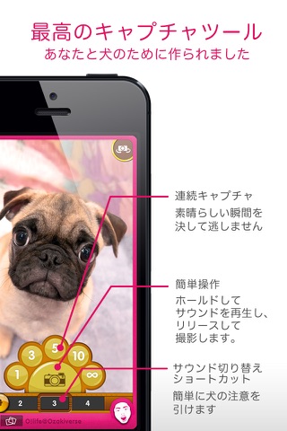 O!DogCam screenshot 2