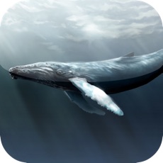 Activities of Guess for Aquatic Species at Risk Quiz Game