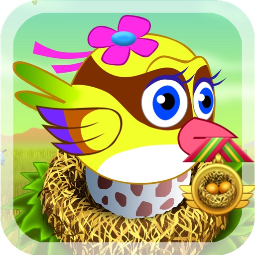 Bird Challenge 2D iOS App