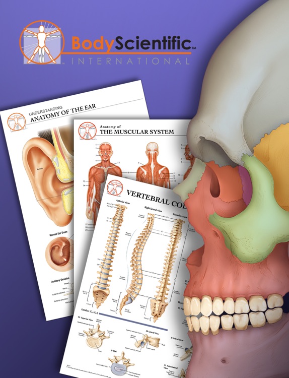 Body Scientific Charts and Books