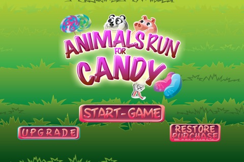 Animals Run For Candy Game -- Dash Through the Forrest to Eat or Crush the Jellybean and Lollipop!!! screenshot 2
