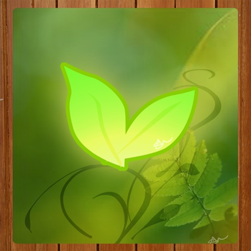 Ambiance Nature Soothing Sounds - Natural Calming Noise iOS App