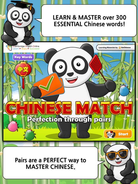 Chinese Match: Key Words HD