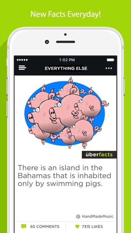 UberFacts