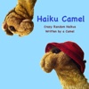 Haiku Camel