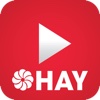 Clip HAY