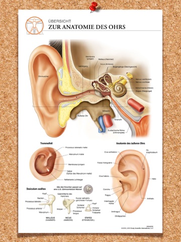 Body Scientific Charts and Books screenshot 3