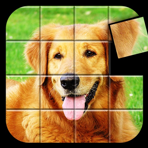 What's the Puzzle iOS App