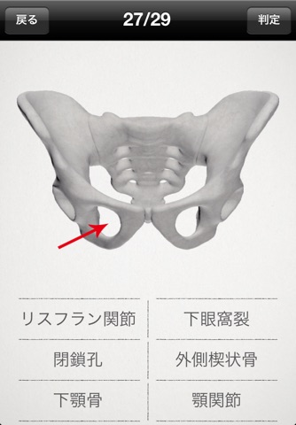 basic anatomy for all [bones] lite screenshot 3