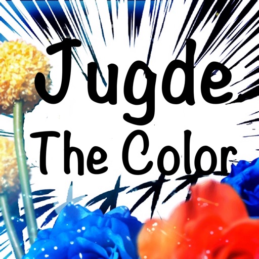 JudgeTheColor