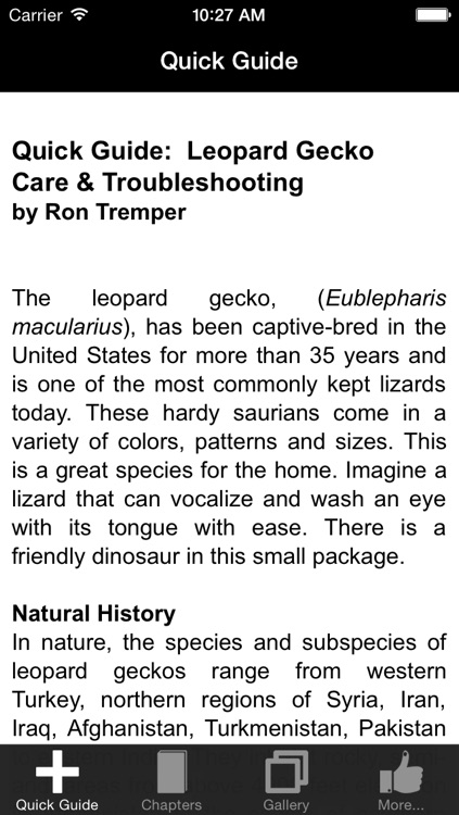 Leopard Gecko Care 101