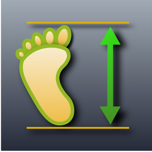 FootFit Icon