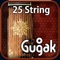 Gugak is a mobile application that let’s you play the traditional Korean musical instruments, such as Gayageum