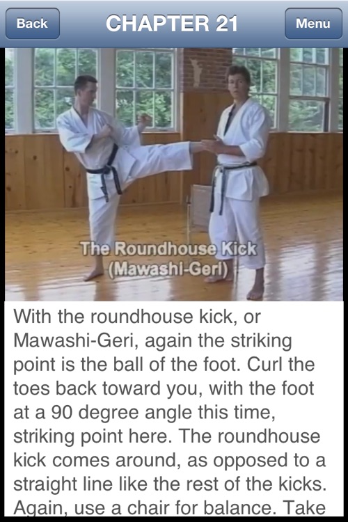 Karate Workout