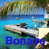 Bonaire Offline Map