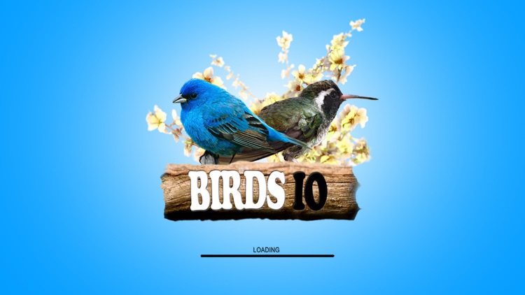 Birds IO screenshot-3