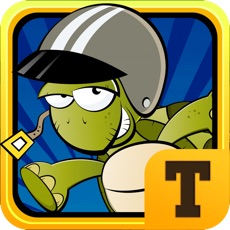Activities of Turbo Turtle : Sky Dash of the Fast Running Indy Racer