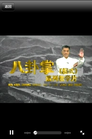 一代宗师-八卦掌,八极拳,形意拳,咏春拳,武术名家讲解示范 screenshot 4