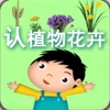 Plant & Flower  - Study Chinese Words and Learn Language used in China From Scratch