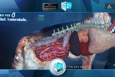 PROPLAN xRAy screenshot 4