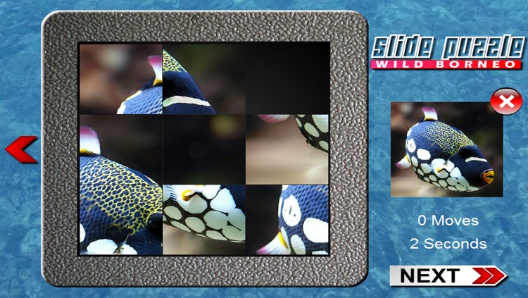 Slide Puzzle Borneo (The land below the Wind)