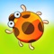 Ladybug and Birds - Beetle Fly Game with Bugs and Insects