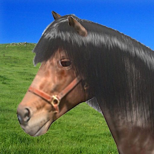 A Little Pet Horse iOS App