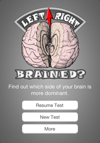 Brain Test ~ I'm Left or Right brained? ~ A brain side hemisphere dominance quiz screenshot 4