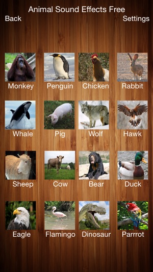 Animal Sound Effects Free!!(圖2)-速報App