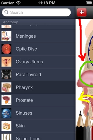 Med Sketch: Anatomy Drawing App screenshot 2