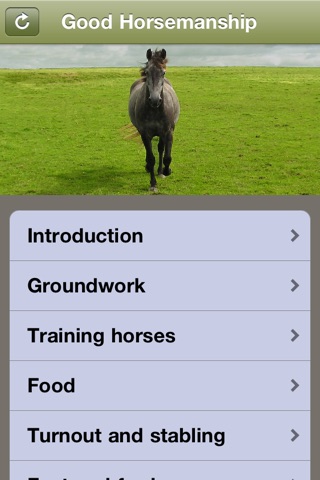 Good Horsemanship - Equestrian Riding, Groundwork, Dressage and Jumping screenshot 2