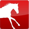 Horsezone Mobile