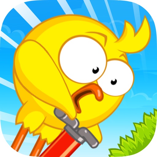 Pogo Chick iOS App