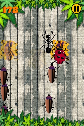 Bugs Crusher -  قاتل الحشرات أشهر لعبة مجاني فى العاب ايفون و العاب ايباد screenshot 3