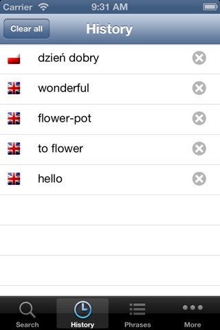 English Polish Dictionary screenshot 4