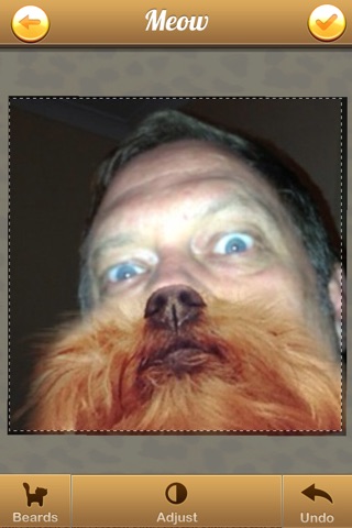 Cat Bearding - The Hilarious Face Beard Selfie App! screenshot 3