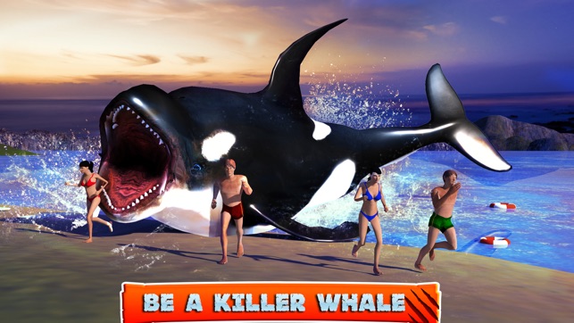 Killer Whale Beach Attack 3D(圖1)-速報App