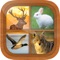 Now Hunting of Deer, Moose, Whitetail, Duck, Squirrel, Rabbit, Turkey, Coyote is no more difficult and expensive, just install the application and learn how to hunt these animals with the help of these high quality sounds and information about these sounds