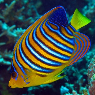 400 freezable recipes