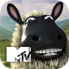 MTV The Valleys - Talking Sheep