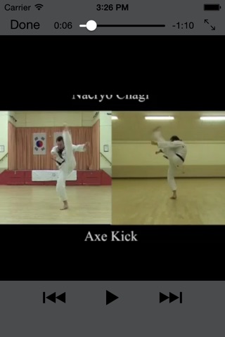 Taekwondo Kicks screenshot 3